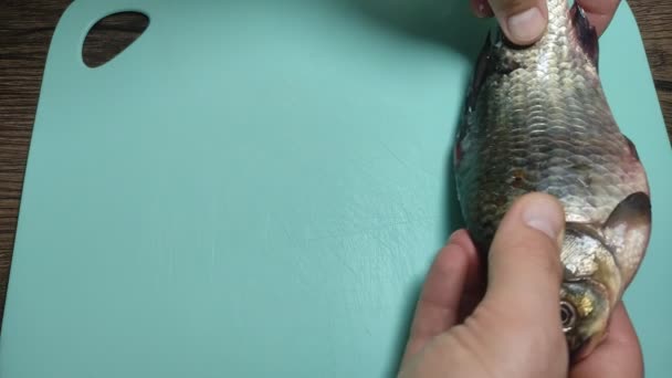 料理人はまな板の上に新鮮な魚を置く — ストック動画