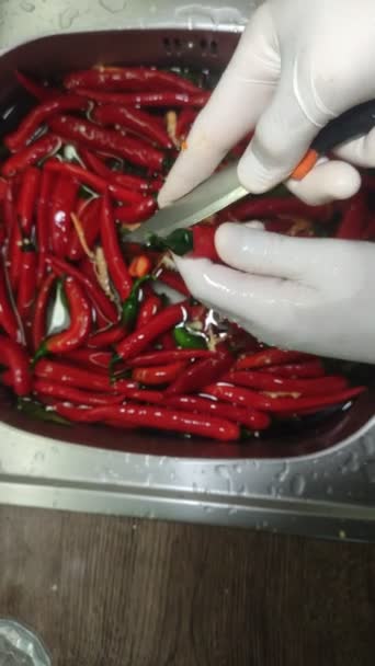 Vídeo Vertical Cozinheiro Corta Pimenta Vermelha Quente Das Sementes Lavatório — Vídeo de Stock