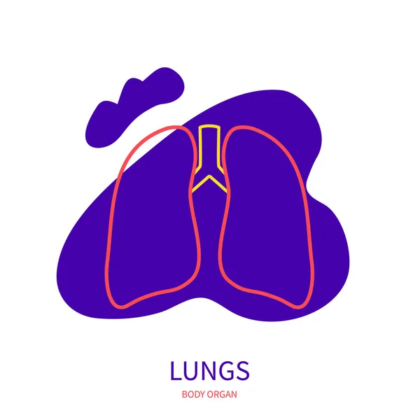 Akciğerler solunum sistemi vücut organı ana hatları simgesi — Stok Vektör