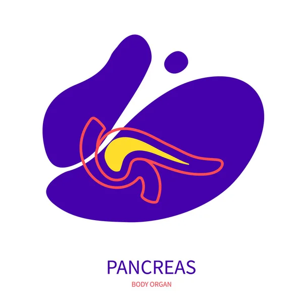 Endocriene alvleesklier en spijsverteringsstelsel orgaanschema pictogram — Stockvector