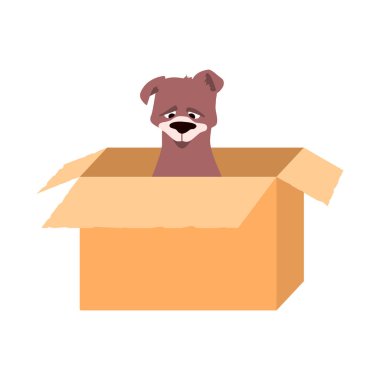 Karton kutuda terk edilmiş üzgün bir köpek.