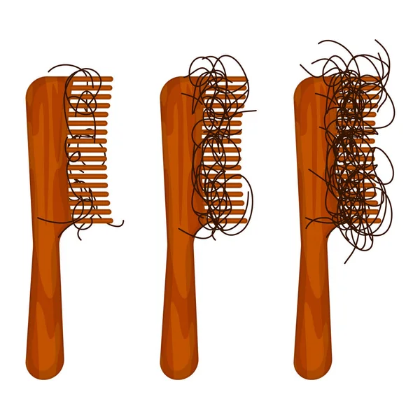 Håriga kammar visar stadier av håravfall — Stock vektor