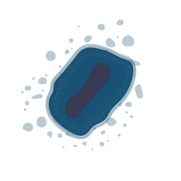 Δομή Βακτηρίων Μόλυνσης Από Τον Της Ευλογιάς Σπάνια Ασθένεια Του — Διανυσματικό Αρχείο