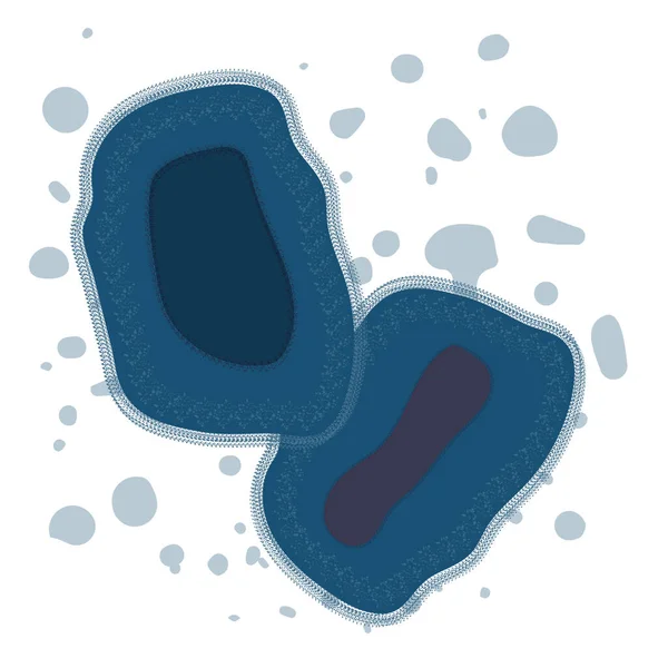 Δομή Βακτηρίων Μόλυνσης Από Τον Της Ευλογιάς Σπάνια Ασθένεια Του — Διανυσματικό Αρχείο