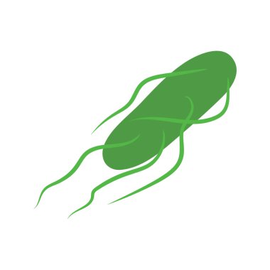 Mikroskop altında salmonella tifo bakterisi. Mikropların tıbbi araştırması. Biyokimya ve analiz konsepti. Vektör illüstrasyonu.