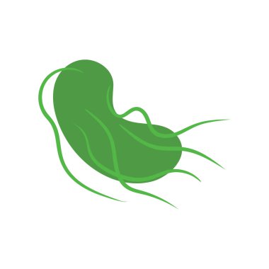 Mikroskop altında salmonella tifo bakterisi. Mikropların tıbbi araştırması. Biyokimya ve analiz konsepti. Vektör illüstrasyonu.
