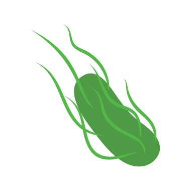 Mikroskop altında salmonella tifo bakterisi. Mikropların tıbbi araştırması. Biyokimya ve analiz konsepti. Vektör illüstrasyonu.