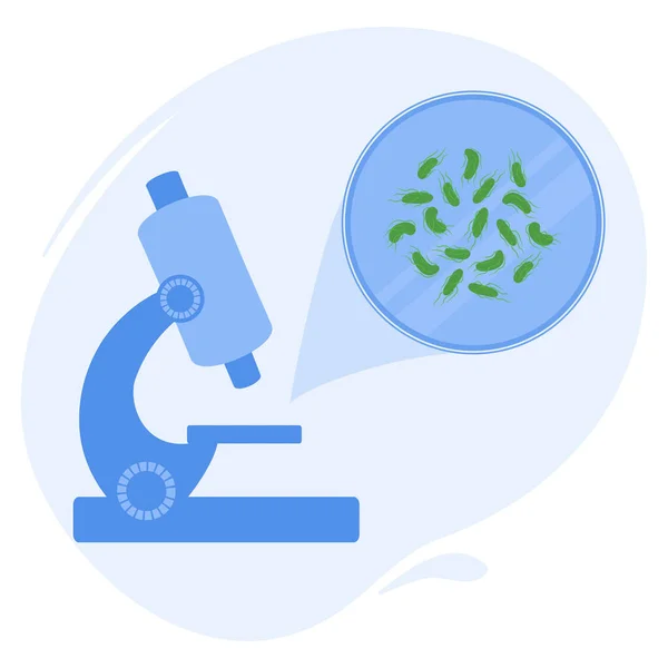 研究室で顕微鏡下のペトリ皿のサルモネラ菌 微生物の医学研究 科学実験のための実験室ツール 生化学と解析ベクトルの概念 — ストックベクタ