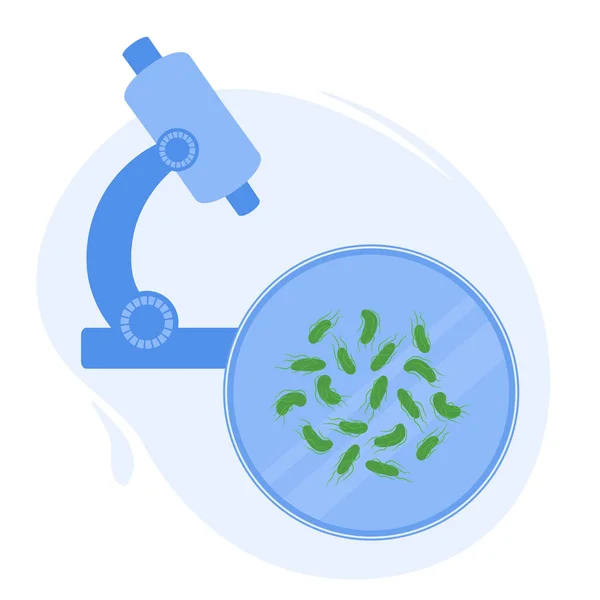 Salmonella Typhi Bactérias Uma Placa Petri Sob Microscópio Laboratório Pesquisa —  Vetores de Stock