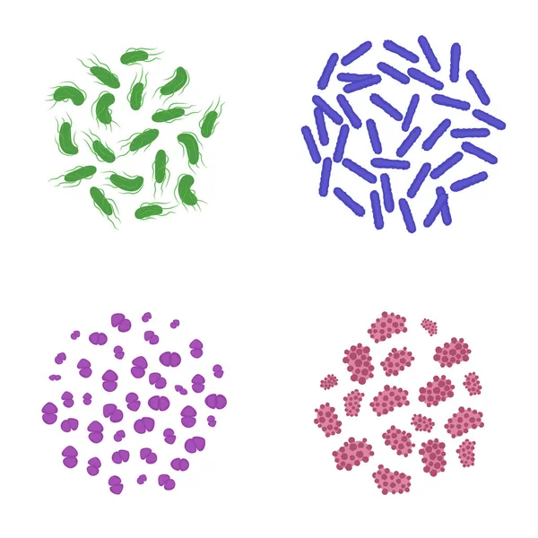 显微镜下的细菌细胞 微生物的医学研究 生物化学和分析概念 矢量说明 — 图库矢量图片