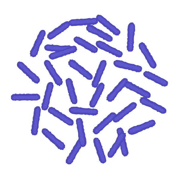 Bacilos Forma Varilla Bajo Microscopio Investigación Médica Microbios Concepto Bioquímica — Vector de stock