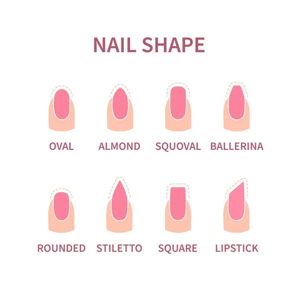 Set Nail Shapes Contours Fingernails Different Form Pink Polish Professional — Image vectorielle