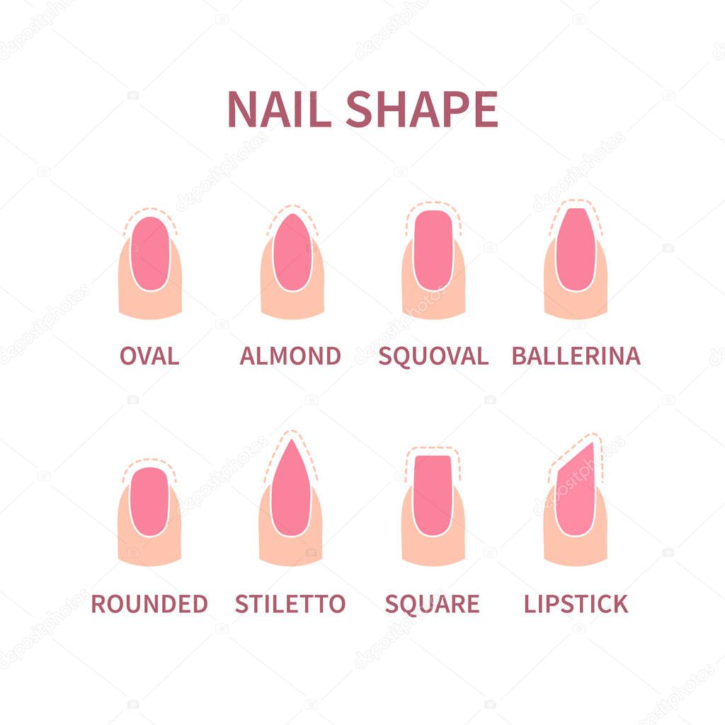 Set of nail shapes with contours. Fingernails of different form with pink polish. Professional manicure beauty concept. Vector illustration.