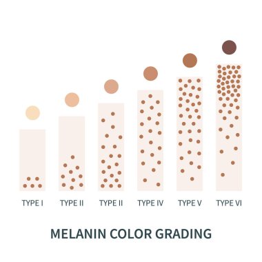 Melanin color palette scheme from light to dark brown. Skin tanning process diagram. Skin complexion diversity. Fitzpatrick skin type classification scale. Beauty concept design. Vector illustration