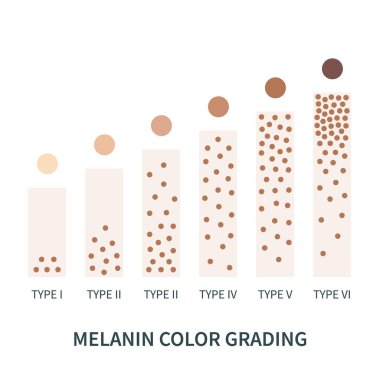Melanin color palette scheme from light to dark brown. Skin tanning process diagram. Skin complexion diversity. Fitzpatrick skin type classification scale. Beauty concept design. Vector illustration clipart
