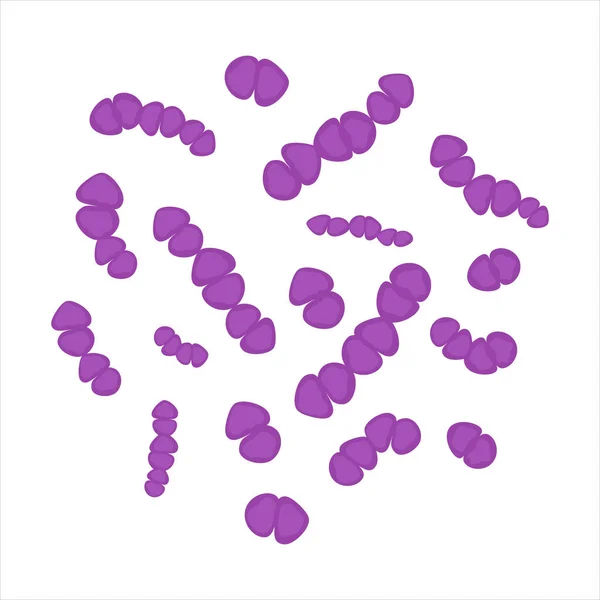 Streptococcus Pneumoniae Bacteria Bajo Microscopio Investigación Médica Microbios Concepto Bioquímica — Vector de stock