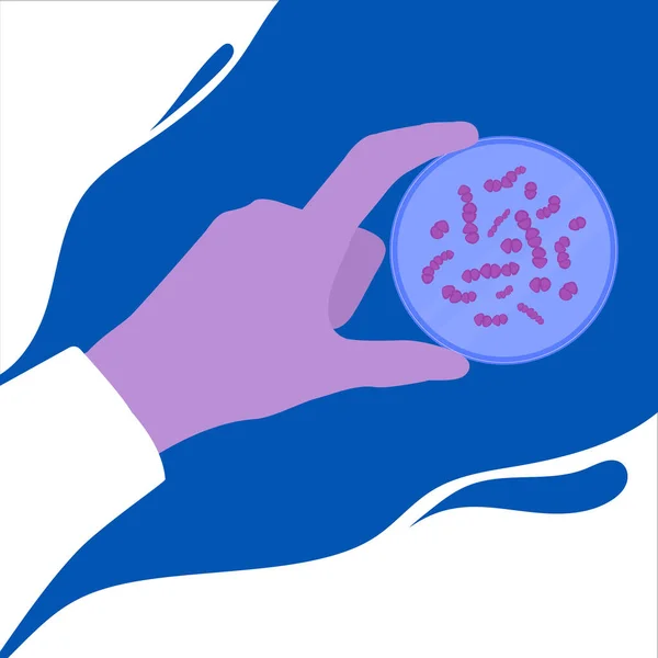 Batteri Streptococcus Pneumoniae Microscopio Ricerca Medica Microbi Biochimica Concetto Analisi — Vettoriale Stock