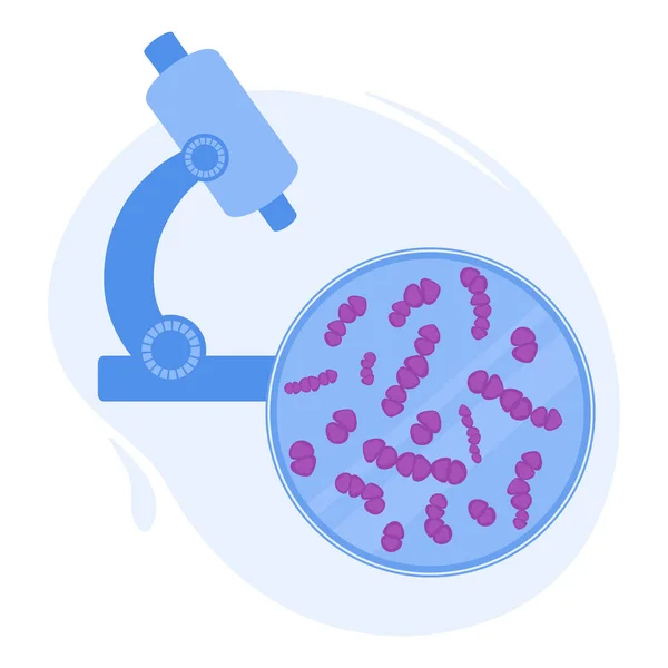 Streptococcus Pneumoniae Βακτήρια Κάτω Από Μικροσκόπιο Ιατρική Έρευνα Των Μικροβίων — Διανυσματικό Αρχείο