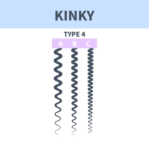 Kinky Σύστημα Ταξινόμησης Τύπου Μαλλιών Που Λεπτομερής Διάγραμμα Στυλ Ανθρώπινης — Διανυσματικό Αρχείο