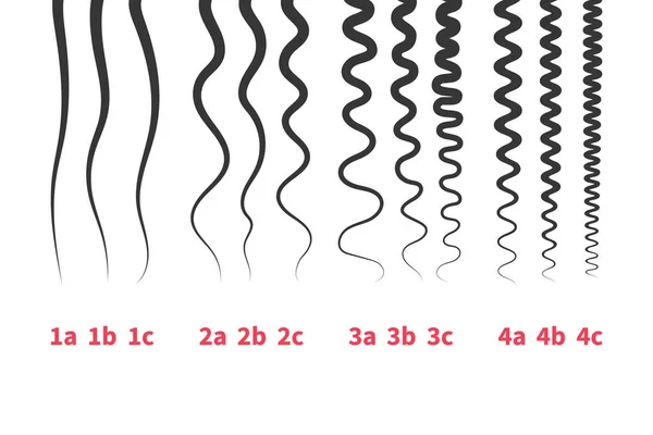Droit Ondulé Bouclé Types Cheveux Crépus Système Classification Ensemble Tableau — Image vectorielle