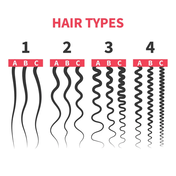 Straight Wavy Curly Kinky Hair Types Classification System Set Detailed — Stock Vector