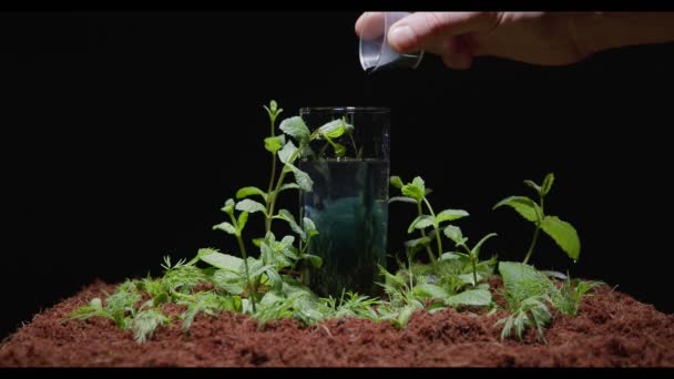 La clorofila se vierte en un vaso de agua, que se encuentra en el suelo con plantas — Vídeo de stock