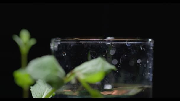 La clorofila se vierte en un vaso de agua, que se encuentra en el suelo con plantas — Vídeos de Stock