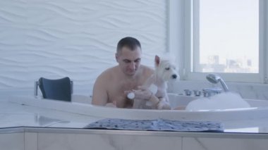 Batı Highland 'da banyo yapan adam jakuzide beyaz teriyer köpeği.