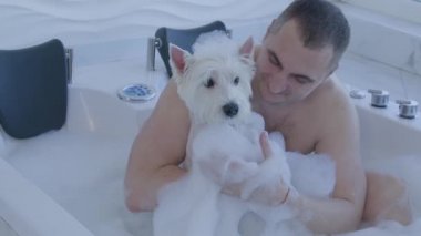 Batı Highland 'da banyo yapan adam jakuzide beyaz teriyer köpeği.