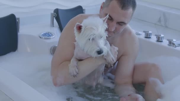 Férfi fürdés West Highland White Terrier kutya jacuzzi — Stock videók