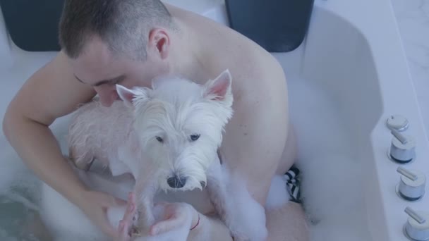 Férfi fürdés West Highland White Terrier kutya hatalmas jacuzzi — Stock videók