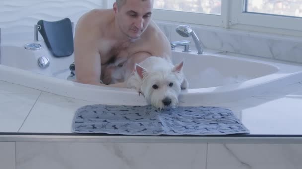 El hombre ayuda al perro a salir del jacuzzi, el perro sacude el agua — Vídeo de stock