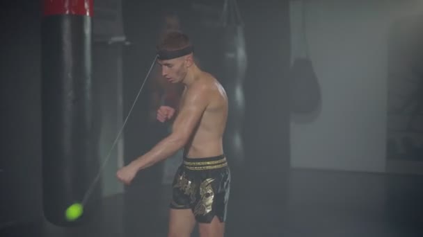 Boxer edzés egy harci labda — Stock videók