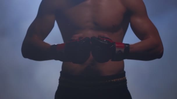Boxer wychodzi z dymu — Wideo stockowe