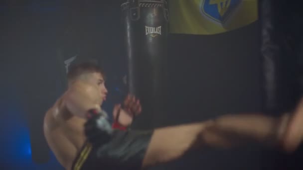 Боксер делает серию ударов по боксерской груше руками и ногами — стоковое видео