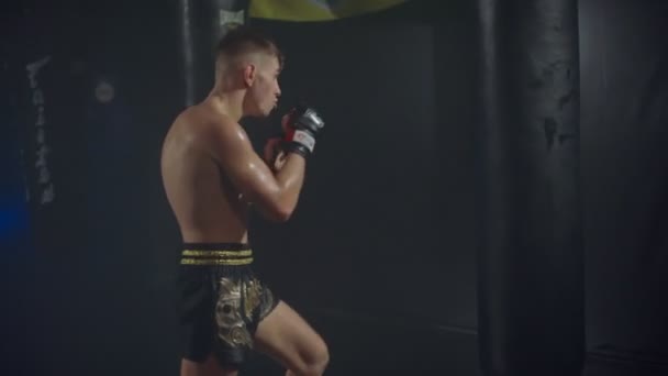 Ein Boxer schlägt mit Armen und Beinen eine Reihe von Schlägen auf einen Boxsack — Stockvideo