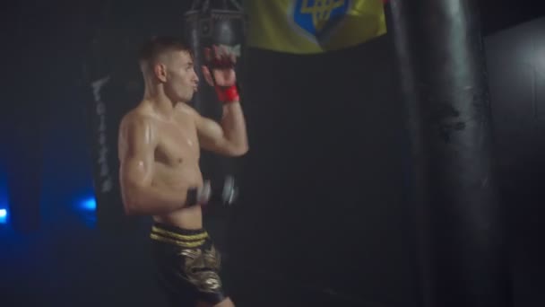 Egy bokszoló sorozatosan üt egy bokszzsákot a karjával és a lábával. — Stock videók