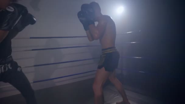 Entrenamiento de boxeador súper ligero con un compañero que usa almohadillas de perforación — Vídeos de Stock