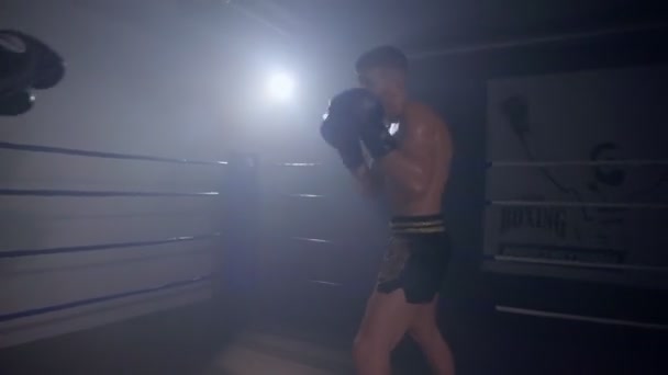Super lekki trening bokserski z towarzyszem za pomocą ochraniaczy bokserskich — Wideo stockowe