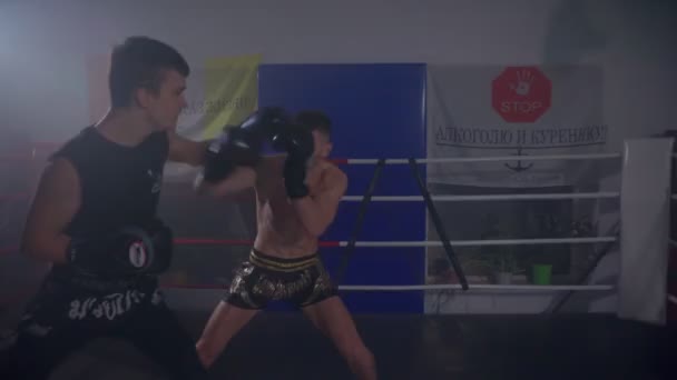Entrenamiento de boxeador súper ligero con un compañero que usa almohadillas de perforación — Vídeos de Stock