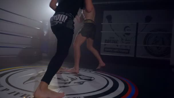 Super lehký boxerský trénink s doprovodem pomocí děrovacích polštářků — Stock video