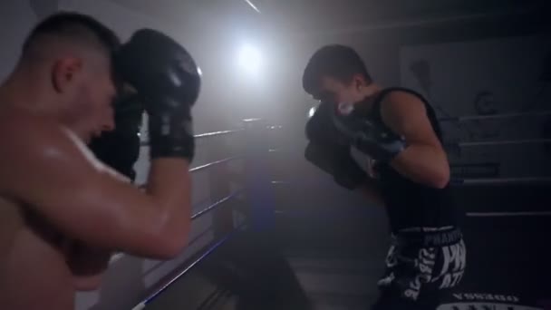 Super lehký boxerský trénink s doprovodem pomocí děrovacích polštářků — Stock video