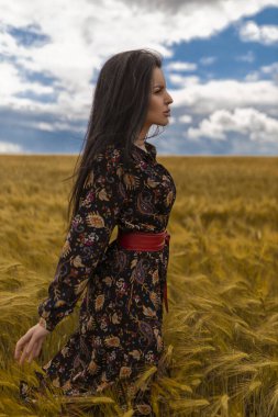 Çekici kız buğday tarlasında yürüyor, dikenlere dokunuyor.