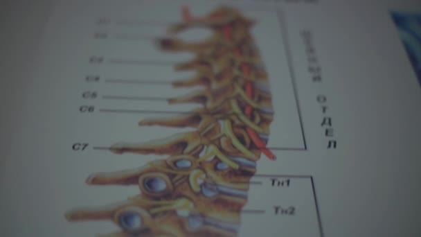 사람의 러시아어로 기술된 포스터는 초점이 바뀌고 — 비디오