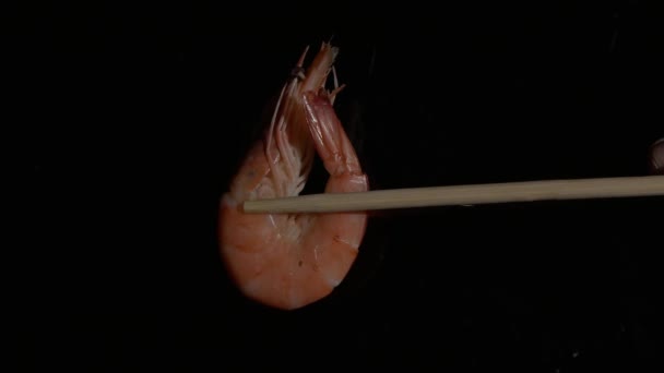 Shrimp Appears Frame Sandwiched Chinese Chopsticks Isolated Black Background Seafood — Stock Video