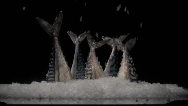 Colas Grandes Frescas Pescado Caballa Están Nieve Artificial Como Escaparate — Vídeo de stock
