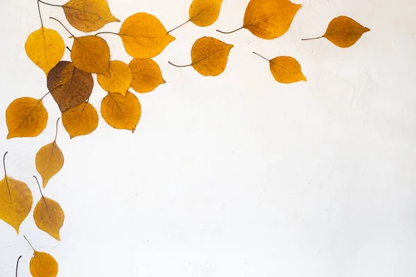 Flatlay background composition text frame autumn yellow leaves white background — Stock Photo, Image
