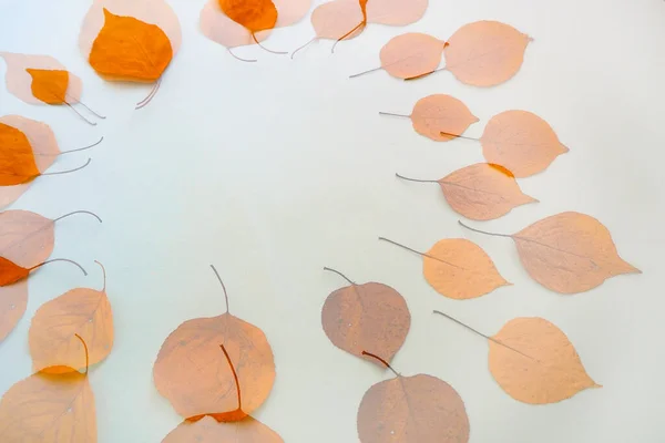 Doppelbelichtung Flatlay kreisförmiger Textrahmen Herbst trockene Blätter blauer Hintergrund — Stockfoto