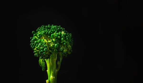Broccoli Black Background Space Copy Side View Horizontal — Stock Photo, Image