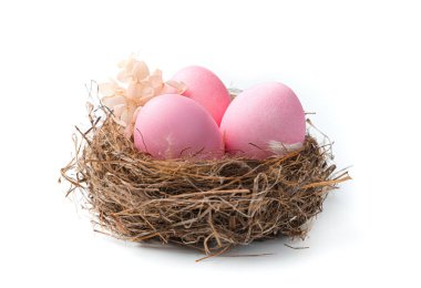Paskalya pembe yumurtalı yuva beyaz arka planda izole edilmiştir. Yan görünüm.